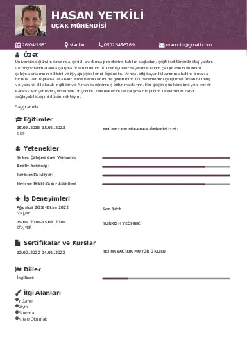 Havacılık Ve Uzay Uçak Mühendisi Cv Örnekleri cv indir